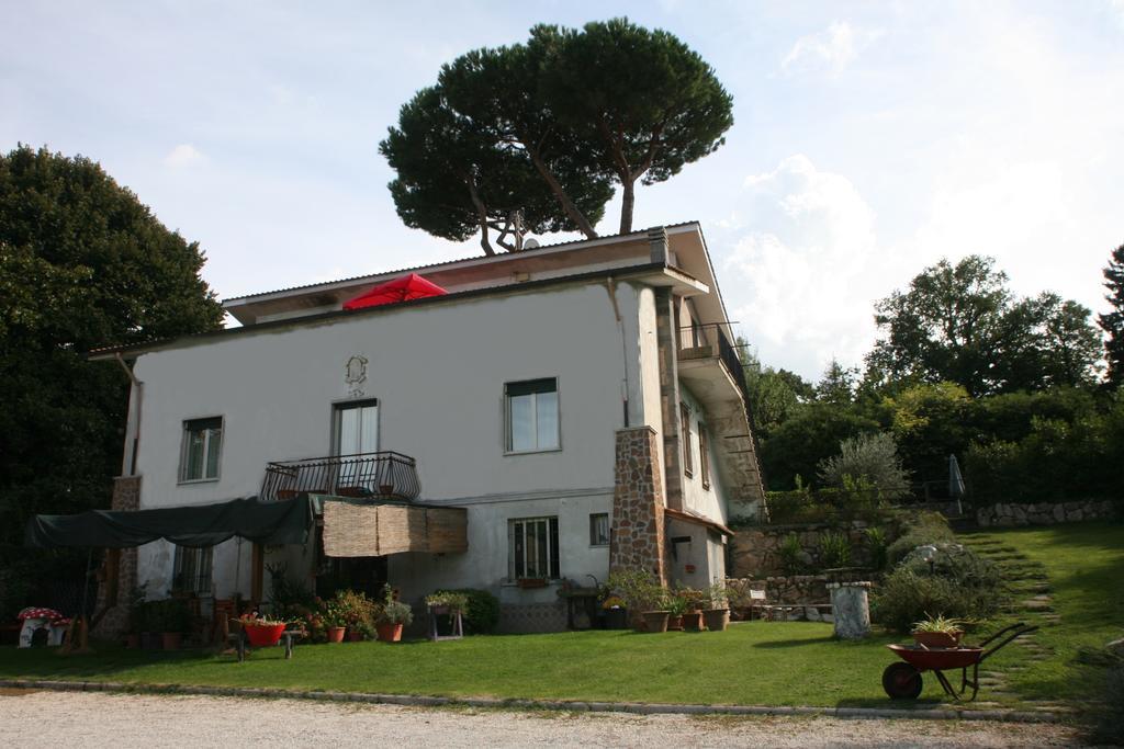 Patrian Bed & Breakfast Grottaferrata Exterior foto